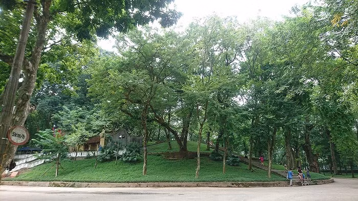 Núi Sưa nằm trong Công viên Bách Thảo ở Hà Nội, nổi tiếng với loài cây sưa đỏ quý hiếm trị giá bạc tỷ. (Ảnh: Tạp chí môi trường)