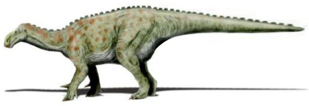 Emiliasaura alessandrii là thành viên của phân nhóm Iguanodontia, một phần của nhóm khủng long chân chim Ornithopoda, sống vào khoảng 138 triệu năm trước, đầu kỷ Phấn Trắng. (Ảnh: Speculative Evolution Wiki)