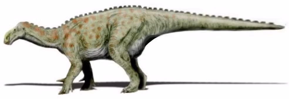 Emiliasaura alessandrii là thành viên của phân nhóm Iguanodontia, một phần của nhóm khủng long chân chim Ornithopoda, sống vào khoảng 138 triệu năm trước, đầu kỷ Phấn Trắng. (Ảnh: Speculative Evolution Wiki)