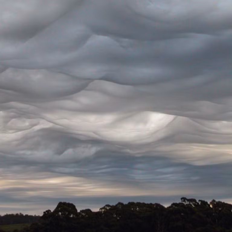 Mây Asperitas thường hình thành ở độ cao thấp, dưới 2.000 mét, và có thể xuất hiện ở bất cứ đâu vào bất cứ thời điểm nào trong năm. Chúng được tạo ra bởi các mặt trận thời tiết, khi các luồng khí lạnh và nóng gặp nhau, tạo thành các con sóng nhấp nhô trong bầu khí quyển. Dù có vẻ ngoài đáng sợ, mây Asperitas không gây ra mưa hay bão, mà chỉ tạo nên một cảnh tượng thiên nhiên kỳ ảo và độc đáo.(Ảnh: South China Morning Post)