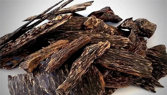 Họ không biết giá trị thực của khúc gỗ này và dự định dùng làm củi đốt. Tuy nhiên, trên đường về, một người tên Hòa đã nhận ra đây là cây dó bầu dùng để cấy trầm và mua lại với giá 2,7 triệu đồng. Người đàn ông này sau đó bán lại khúc gỗ cho một người khác ở Khánh Hòa với giá 195 triệu đồng, lãi gấp hơn 70 lần. (Ảnh: Sở hữu trí tuệ)