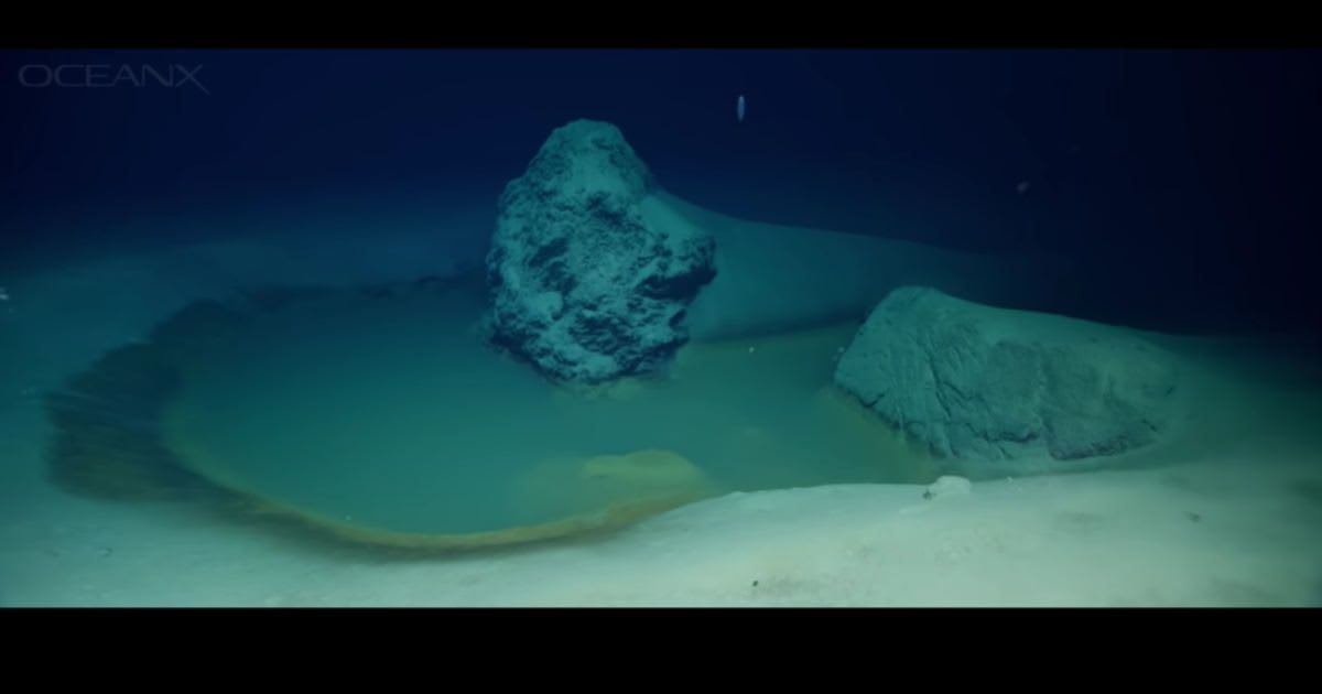 Phát hiện về những vi sinh vật "không thể tin nổi" sống trong hồ nước muối biển sâu ở Biển Đỏ là một bước tiến quan trọng trong việc hiểu biết về sự sống trên Trái Đất và ngoài hành tinh. Những sinh vật này không chỉ cho thấy sự kiên cường của sự sống mà còn mở ra những hướng nghiên cứu mới về khả năng tồn tại của sự sống trong những điều kiện khắc nghiệt nhất. Đây là một minh chứng cho thấy, dù hành tinh có trải qua hàng tỷ năm tiến hóa, sự sống vẫn sẽ tìm được cách tồn tại và phát triển.(Ảnh: Knewz)