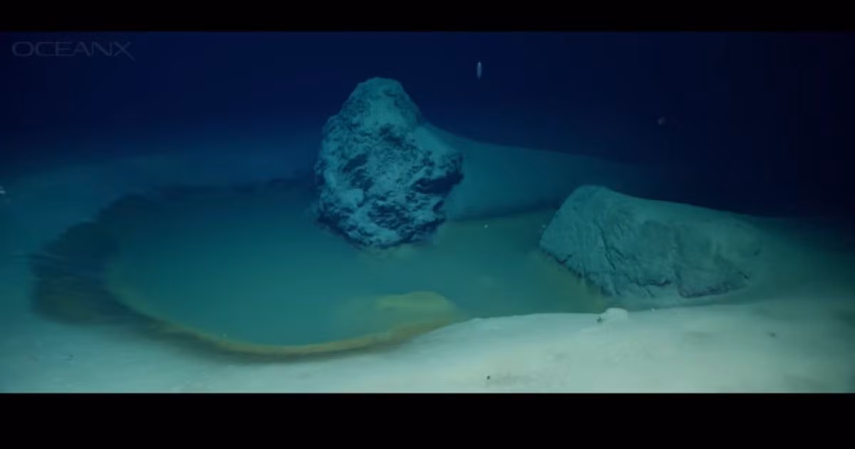 Phát hiện về những vi sinh vật "không thể tin nổi" sống trong hồ nước muối biển sâu ở Biển Đỏ là một bước tiến quan trọng trong việc hiểu biết về sự sống trên Trái Đất và ngoài hành tinh. Những sinh vật này không chỉ cho thấy sự kiên cường của sự sống mà còn mở ra những hướng nghiên cứu mới về khả năng tồn tại của sự sống trong những điều kiện khắc nghiệt nhất. Đây là một minh chứng cho thấy, dù hành tinh có trải qua hàng tỷ năm tiến hóa, sự sống vẫn sẽ tìm được cách tồn tại và phát triển.(Ảnh: Knewz)