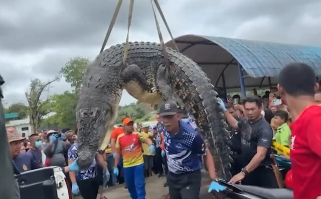 Sự việc bắt đầu khi một bé gái 6 tuổi tên Cecilia bị cá sấu tấn công và mất tích vào ngày 18/9. Sau nhiều ngày tìm kiếm không thành công, người dân và Cục quản lý động vật hoang dã đã bắt được hai con cá sấu lớn.