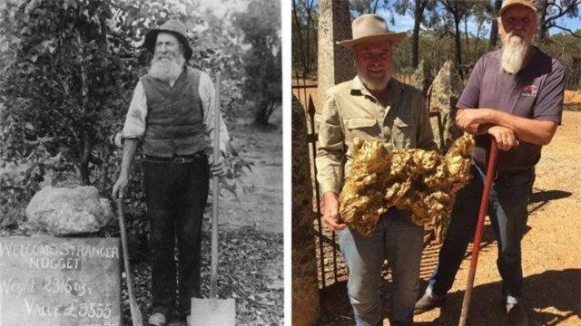 Cục vàng nặng 72 kg và dài 61 cm, tương đương trọng lượng của một người đàn ông trưởng thành. Khi mang đến thị trấn Dunolly để cân, cục vàng quá lớn để vừa cân nên bị vỡ ra trước khi chụp ảnh. (Ảnh: DNVN)