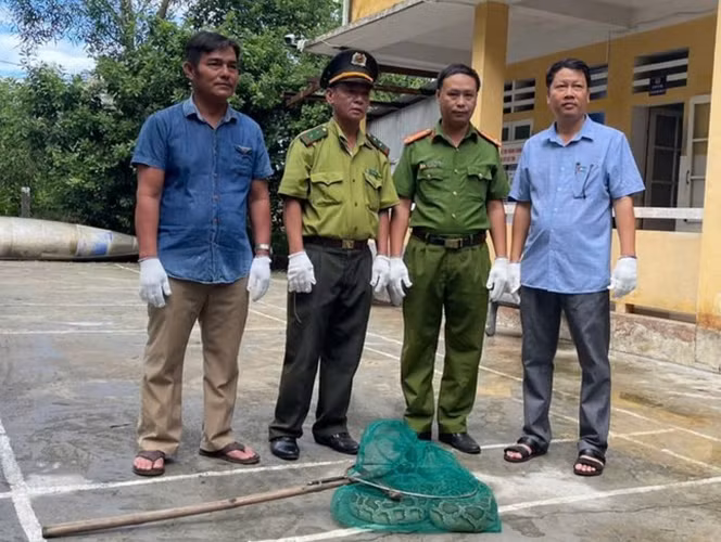 Tương tự, mới đây ở Việt Nam, người dân Thừa Thiên Huế phát hiện một cá thể trăn gấm quý hiếm, nặng khoảng 9kg và dài 2m, mắc vào ngư cụ. Sau khi phát hiện, anh Trương Vinh đã giao nộp con trăn cho Hạt Kiểm lâm huyện Phú Lộc để thả về tự nhiên. (Ảnh: Tiền phong)