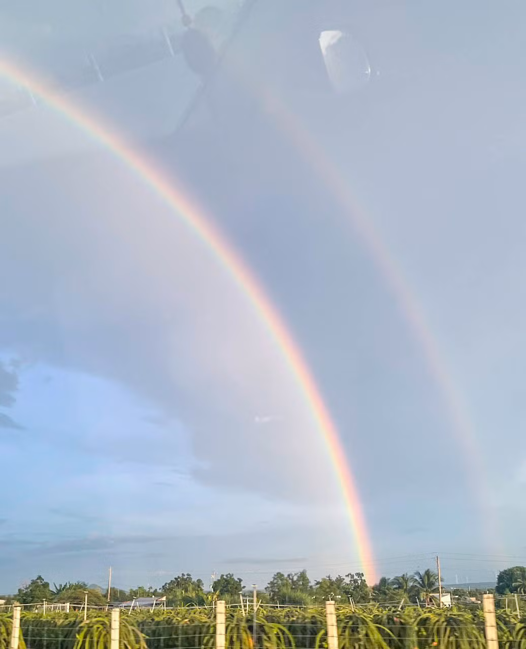 Theo ông Nguyễn Anh Tuấn, Cựu chủ nhiệm CLB Thiên văn nghiệp dư TP.HCM (HAAC), cầu vồng đôi xuất hiện khi ánh sáng Mặt Trời khúc xạ và phản xạ qua các giọt nước mưa, tạo ra hai cầu vồng. (Ảnh: Báo Người Lao Động)