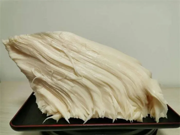 Sau khi mang về nhà, hàng xóm của ông phỏng đoán đây là Linh chi thái tuế, một loại nấm linh chi quý hiếm. Quan chức địa phương xác nhận điều này và cho biết giá trị của nó rất cao. (Ảnh: DNVN)