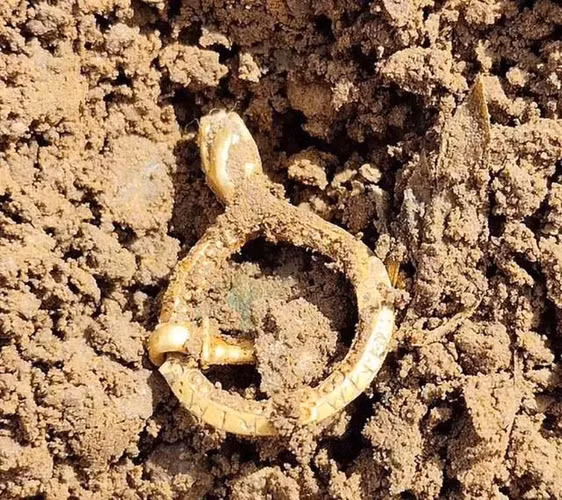 Cách đây không lâu, Gintaras Beimavicius, một người dò kim loại, đã tìm thấy chiếc trâm cài bằng vàng từ thế kỷ 13 trên một cánh đồng trồng đậu Hà Lan ở Lincolnshire, Anh. Chiếc trâm cài này có kích thước bằng đồng xu, trị giá khoảng 10.000 bảng Anh và có thể từng thuộc về một lãnh chúa hoặc viên chức cấp cao thời trung cổ. Có giả thuyết cho rằng chiếc trâm bị mất trong một cuộc đấu kiếm. (Ảnh: Daily Mail)