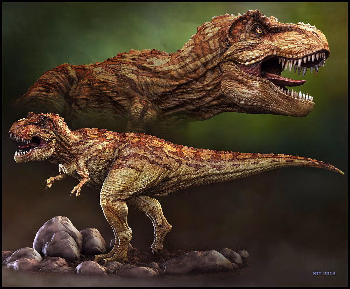Loài khủng long bạo chúa, hay còn gọi là Tyrannosauridae, là một nhóm khủng long ăn thịt lớn thuộc bộ khủng long chân thú (Theropoda). Các loài trong chi này thường có kích thước lớn, với chiều dài từ 9 đến 12 mét, và một số loài có thể dài tới 13 mét hoặc hơn. Chúng có đầu lớn, hàm mạnh mẽ với răng sắc nhọn, và hai chân sau mạnh mẽ. Chân trước của chúng nhỏ và có hai ngón.(Ảnh: ZBrushCentral)