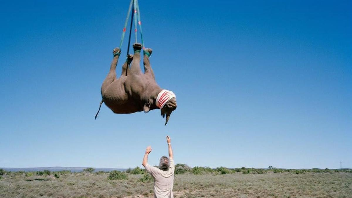 Nghiên cứu này đã giành giải Ig Nobel năm 2021.(Ảnh: Antena 3 CNN)