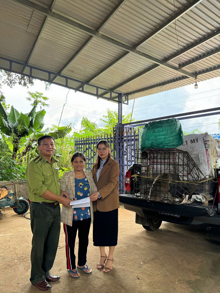 Khi biết chúng là động vật rừng quý hiếm, bà Y Dương đã tự nguyện báo và giao nộp cho Hạt Kiểm lâm huyện. Hạt Kiểm lâm đã tiếp nhận và chuyển giao hai cá thể khỉ này cho Trung tâm Bảo tồn đa dạng sinh học và Du lịch sinh thái để thả về môi trường tự nhiên. (Ảnh: Dân việt)