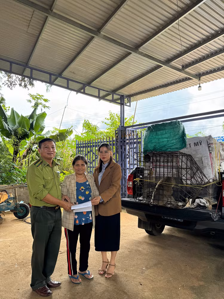Khi biết chúng là động vật rừng quý hiếm, bà Y Dương đã tự nguyện báo và giao nộp cho Hạt Kiểm lâm huyện. Hạt Kiểm lâm đã tiếp nhận và chuyển giao hai cá thể khỉ này cho Trung tâm Bảo tồn đa dạng sinh học và Du lịch sinh thái để thả về môi trường tự nhiên. (Ảnh: Dân việt)