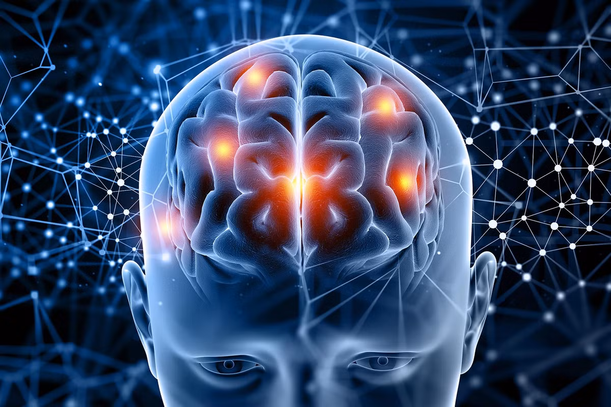 Ban đầu, quá trình tự phân hủy xảy ra khi các enzyme tấn công màng tế bào do thiếu oxy, bắt đầu từ gan và não. (Ảnh: SciTechDaily)