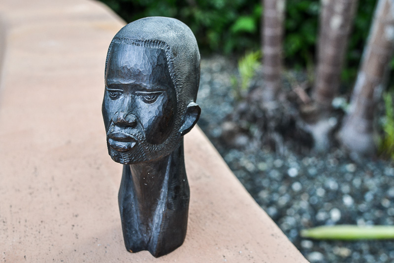 Mặc dù có giá trị kinh tế cao, nhưng gỗ đen châu Phi đang đối mặt với nguy cơ tuyệt chủng do việc khai thác quá mức và kế hoạch bảo tồn kém hiệu quả. (Ảnh: IPlantz)