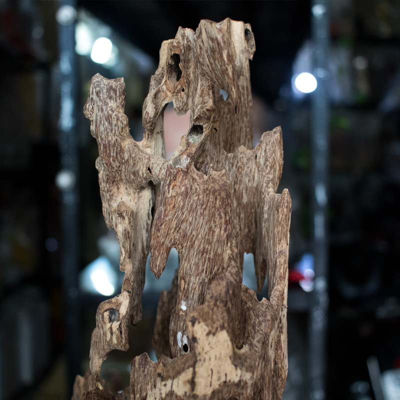 Giá trị của lũa trầm hương phụ thuộc vào hình dáng, màu sắc và nguồn gốc của nó. Những khúc lũa có hình thù độc đáo, màu sắc tự nhiên và mùi thơm đặc trưng thường có giá trị rất cao. Những đại gia và những người yêu thích đồ gỗ quý luôn sẵn sàng chi hàng tỷ đồng để sở hữu những khúc lũa trầm hương thượng hạng. (Ảnh: Tượng Phật Thuận Duyên)