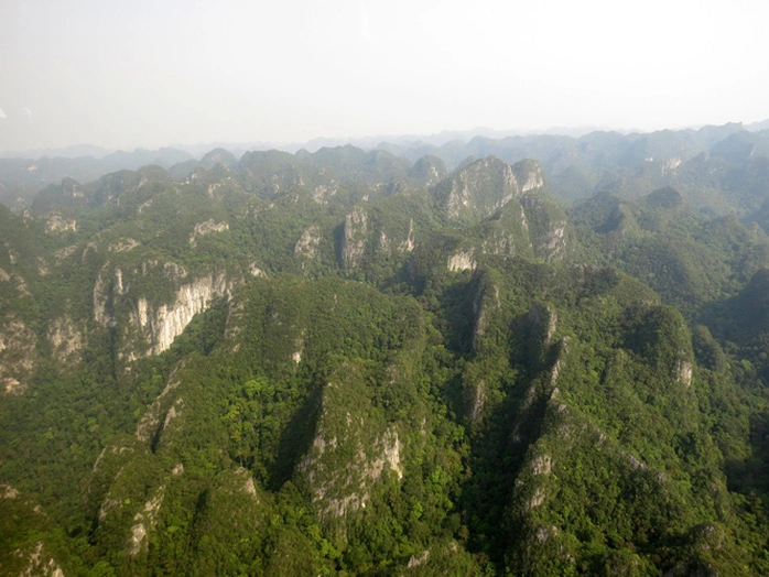 Chúng là loài sống sót duy nhất của họ thú cổ Diatomydae, tưởng chừng đã biến mất từ kỷ Miocen. Phát hiện này được thực hiện bởi các nhà khoa học trong cuộc điều tra đa dạng sinh học tại Vườn quốc gia Phong Nha - Kẻ Bàng, tỉnh Quảng Bình.(Ảnh: Người lao động)