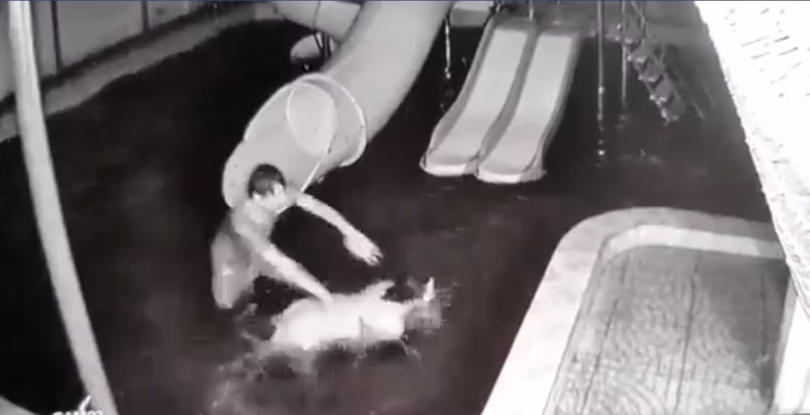 Sau khi bị chồng đánh, chị M. đã đi khám tại bệnh viện, theo kết quả giám định ban đầu chị M. bị thương tích 5%. Sau đó, chị M. đã viết đơn tố hành vi của chồng. (Ảnh: Nld)