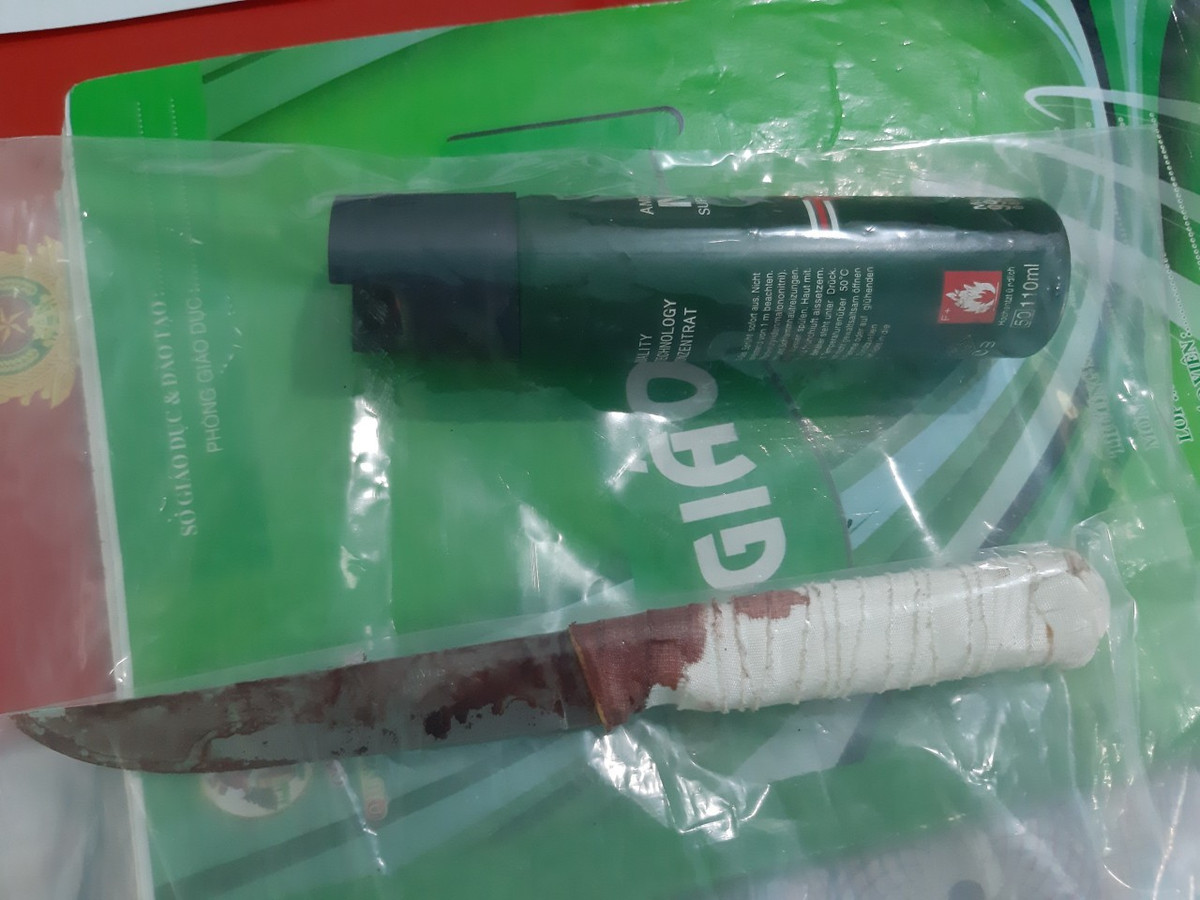 Sau khi gây án, Linh bỏ trốn khỏi hiện trường, đón xe khách lên TP HCM và bị lực lượng Công an bắt giữ.