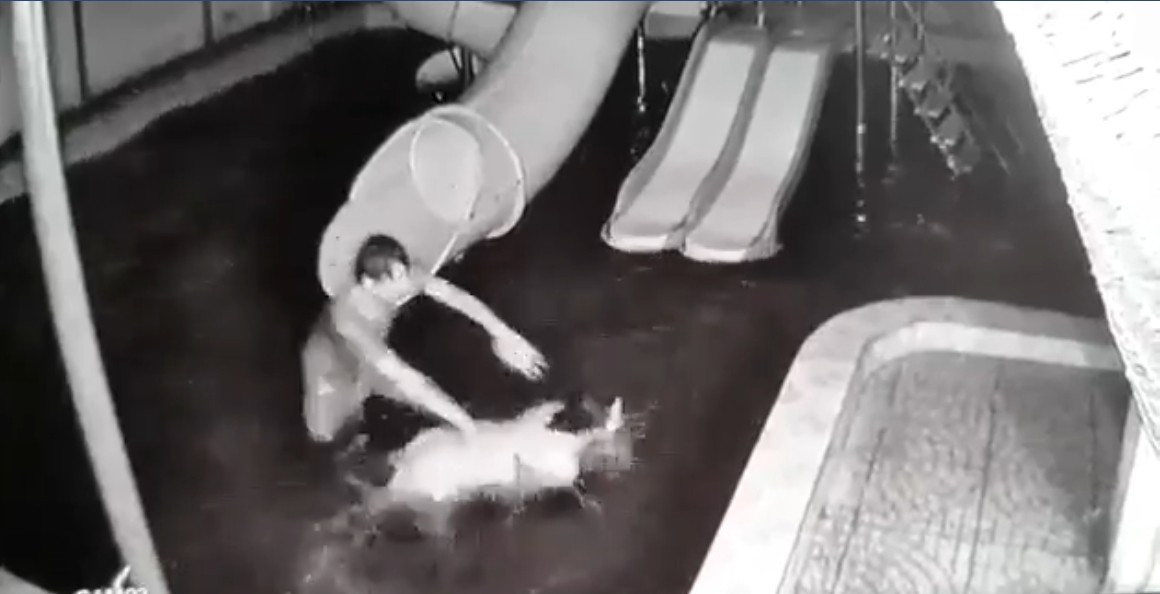 Sau khi bị chồng đánh, chị M. đã đi khám tại bệnh viện, theo kết quả giám định ban đầu chị M. bị thương tích 5%. Sau đó, chị M. đã viết đơn tố hành vi của chồng. (Ảnh: Nld)