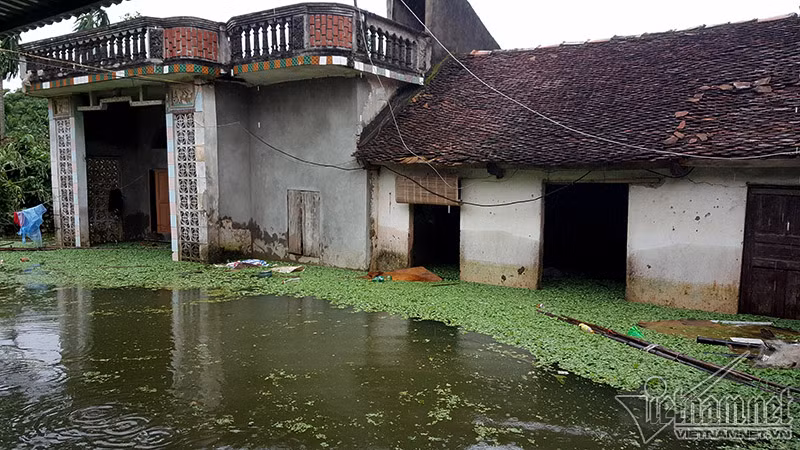Sau 5 ngày nước vẫn tràn vào ngập đến nửa nhà