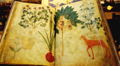 Theo một số tài liệu, Mật khố Vatican là nơi lưu giữ nhiều tài liệu quan trọng liên quan đến: Giáo hoàng, Nữ hoàng Elizabeth, vua Henry VIII, Tổng thống Mỹ Abraham Lincoln, hiệp sĩ dòng đền, Michelangelo, Mozart...