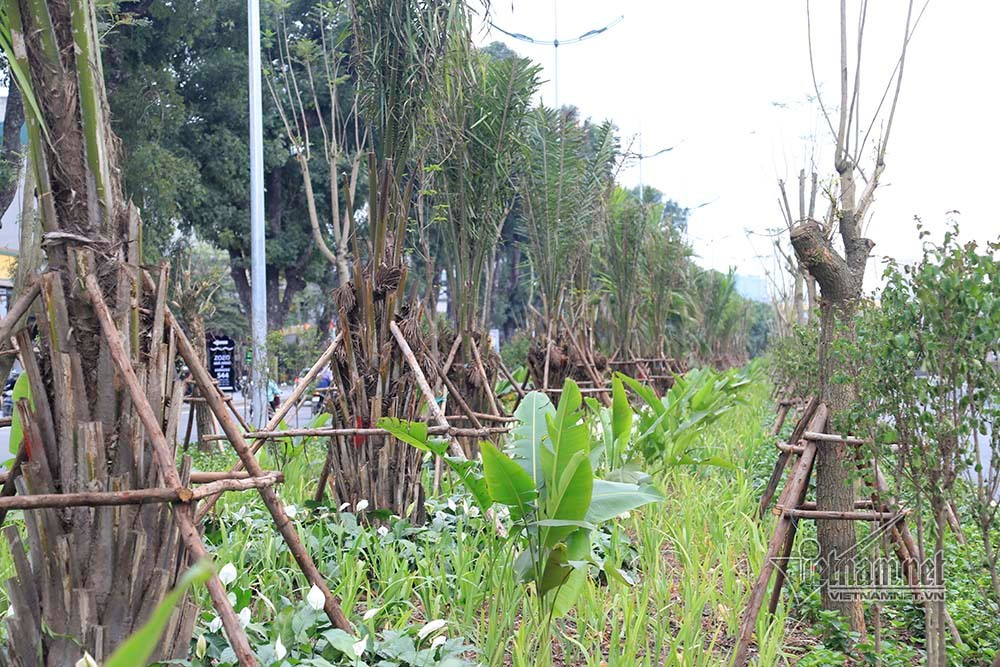 Duong di bo ven song To Lich: Dep nhung khong o duoc lau vi...thoi!-Hinh-9