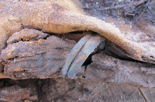 Năm 2014, dư luận bất ngờ khi các nhà nghiên cứu thuộc Đại học Brigham Young, Mỹ thông báo phát hiện một nghĩa trang cổ ở Ai Cập có đến hơn 1 triệu xác ướp nhưng chưa rõ nguồn gốc.