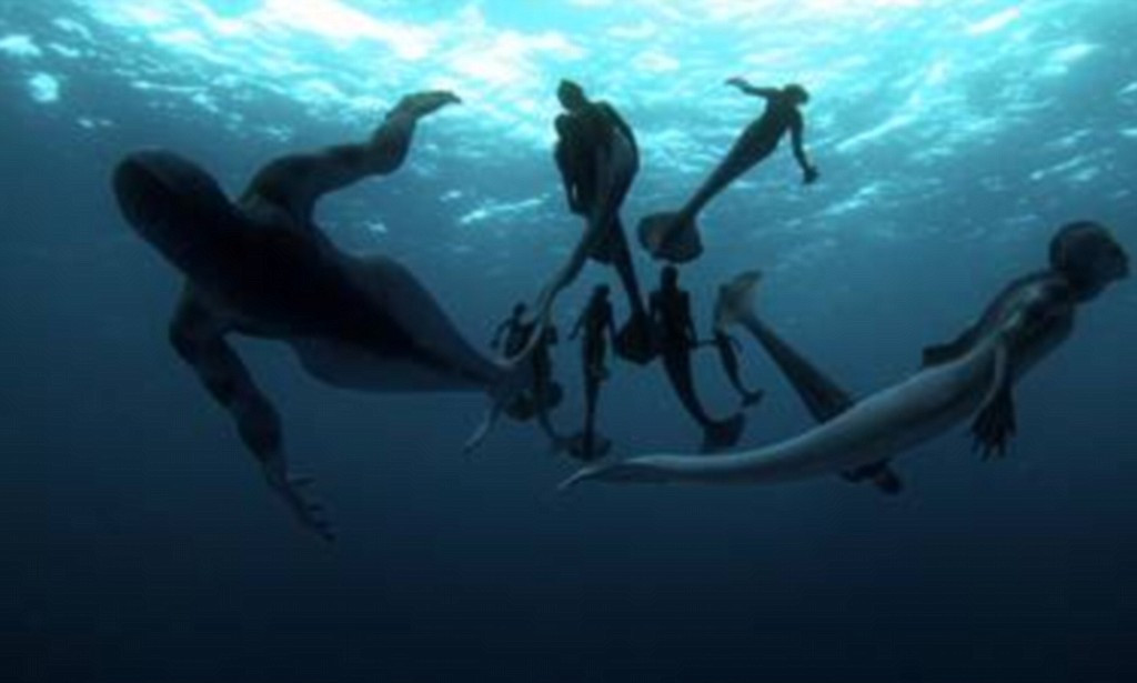 Sau khi trở về bờ, Toupin đã kể cho mọi người nghe câu chuyện gặp người cá ngoài biển như thế nào và nó có diện mạo ra sao.