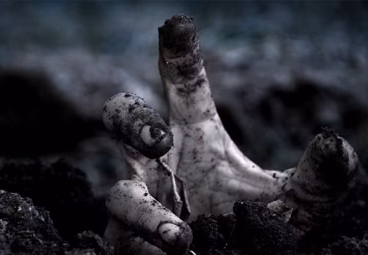 Tuy nhiên, khi đang cố gắng lấy chiếc nhẫn từ tay nữ bá tước Emma xứ Edgcumbe, người trôm nom nhà thờ kinh hãi khi người nằm trong quan tài đột nhiên sống lại.