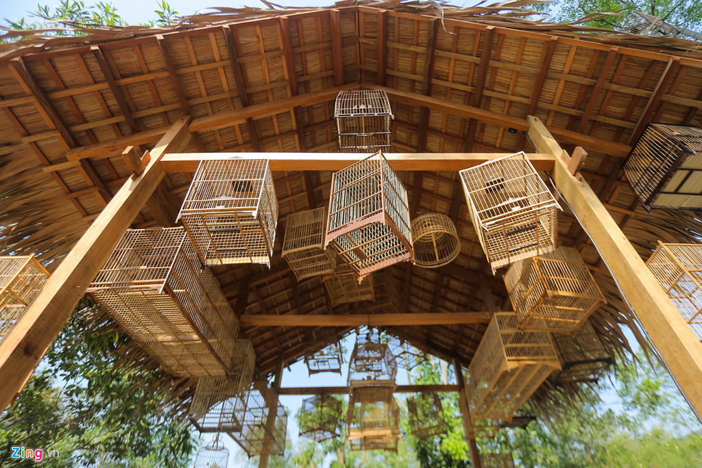 Tuy nhiên, khi vào trong khuôn viên của khu vực này, công nhân chủ yếu đang trang trí, lắp đặt các thiết bị phụ trợ cho từng căn nhà.