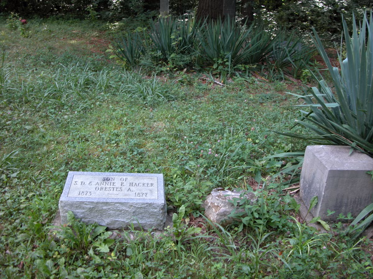 Do mất con, người mẹ vô cùng đau khổ và trong lúc quẫn trí đã ra nghĩa trang, đào mộ rồi mang xác con gái ra khỏi quan tài.