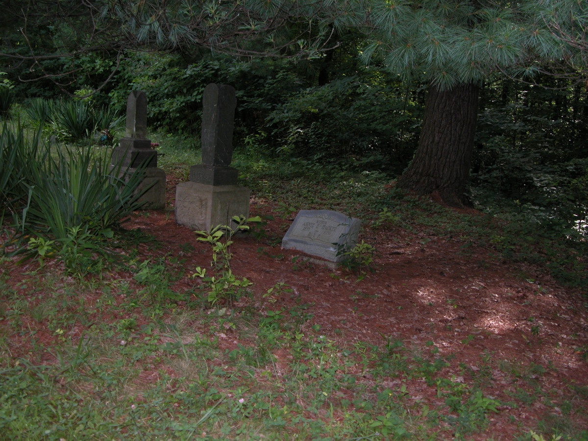 Theo nhiều câu chuyện, trước khi trở thành hồn ma "ám" nghĩa trang Stepp, người phụ nữ trên rơi vào hoàn cảnh đau buồn khi con gái bé bỏng chết.