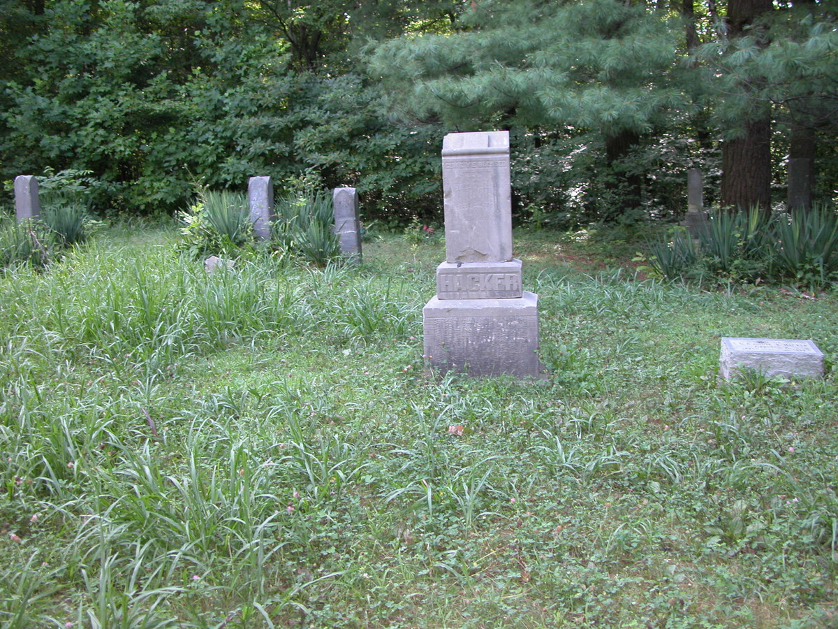 Cụ thể, một số người tuyên bố đã bắt gặp hồn ma người phụ nữ mặc đồ đen trên khi đến nghĩa trang Stepp.