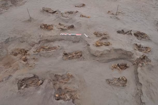 Những trẻ em và số lạc đà trên bị hiến tế vào khoảng năm 1450. Đây là thời điểm nền văn minh Chimu phát triển rực rỡ ở vùng duyên hải phía bắc Peru.