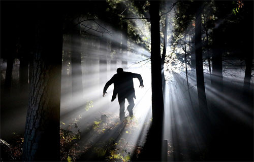 Thậm chí, người ta còn cho rằng, Dippel đã bí mật trộm thi thể ở nghĩa trang để tiến hành các thí nghiệm giải phẫu. Ông đã tạo ra một con quái vật và hồi sinh nó từ cõi chết sống lại bằng một tia sét.