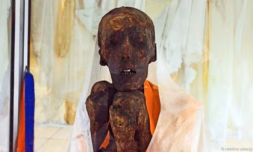 Thậm chí, thi hài của một số nhà sư còn nguyên vẹn giống như người đnag ngủ hoặc mới qua đời khi da và tóc vẫn còn mềm mại.