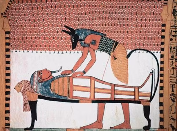 Hình ảnh thần Anubis được có trên các văn bản chữ tượng hình được khắc trên các lăng mộ, đền đài.