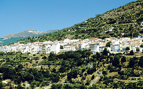 Đặc biệt, thị trưởng của Lanjaron còn ban hành một sắc lệnh đề nghị 4.000 người dân ở Lanjaron “chăm sóc tối đa sức khỏe của mình để đừng chết trong lúc tòa thị chính thực hiện các bước cần thiết để có khu đất phù hợp xây nghĩa trang”.