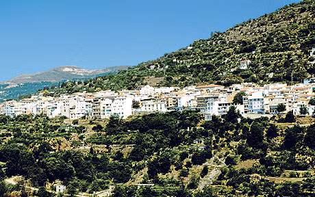 Đặc biệt, thị trưởng của Lanjaron còn ban hành một sắc lệnh đề nghị 4.000 người dân ở Lanjaron “chăm sóc tối đa sức khỏe của mình để đừng chết trong lúc tòa thị chính thực hiện các bước cần thiết để có khu đất phù hợp xây nghĩa trang”.