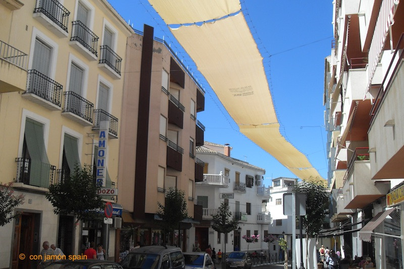 Sắc lệnh của thị trưởng Lanjaron không nói rõ địa điểm nghĩa trang mới đã có hay chưa hay bao giờ sẽ hoàn thành.