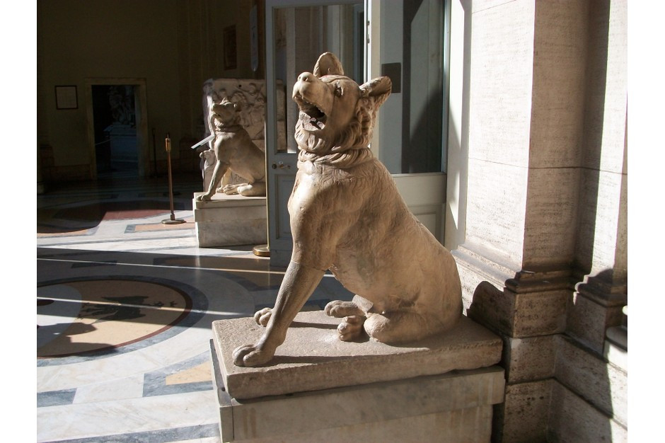 Sau khi được giới nhà giàu mua, những con vật này còn được huấn luyện đi trên cao, nhảy trên dây hay nhặt đồ theo mệnh lệnh...