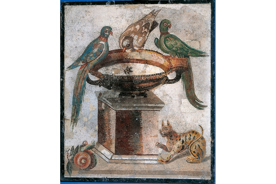 Do những con vật thuộc diện quý hiếm nên giới nhà giàu bỏ ra những khoản tiền lớn để sở hữu chúng.