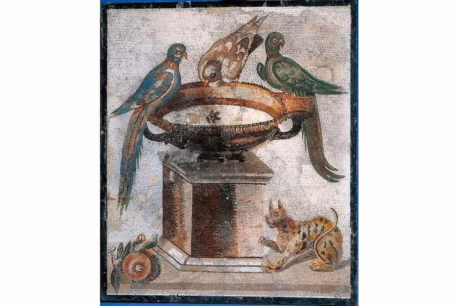 Do những con vật thuộc diện quý hiếm nên giới nhà giàu bỏ ra những khoản tiền lớn để sở hữu chúng.