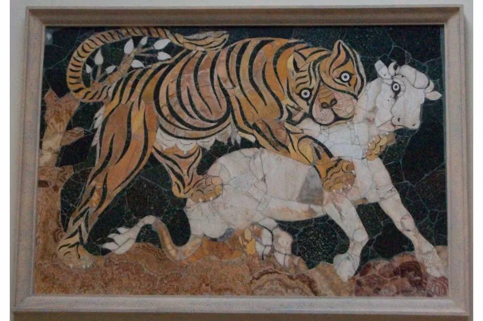 Cụ thể, không chỉ là nơi diễn ra các cuộc so tài ác liệt của các võ sĩ giác đấu, đấu trường La Mã được giới nhà giàu chọn làm nơi trưng bày những động vật quý hiếm và kỳ lạ.