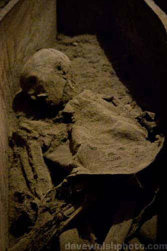 Trước khi xảy ra vụ xác ướp 800 năm tuổi bị lấy cắp mất đầu trên, hầm mộ của nhà thờ Thánh Michan từng bị phá hoại vào năm 1996. Khi ấy, một nhóm thanh niên đã lẻn vào hầm mộ và lấy cắp một xác ướp trong quan tài. Sau gần một tuần điều tra, cảnh sát đã bắt được hung thủ.