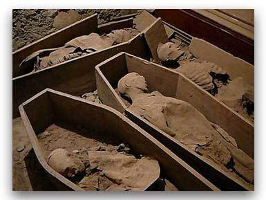 Ngoài xác ướp "Thập tự quân" bị lấy mất phần đầu, linh mục Archdeacon David Pierpoint cho biết những kẻ gian đột nhập vào hầm mộ còn làm tổn hại nghiêm trọng phần da và xương của xác ướp nữ tu 400 năm tuổi. Một xác ướp khác cũng bị những kẻ trộm mộ dịch chuyển và lật nghiêng.