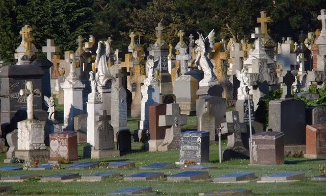 Điều này khiến hàng chục nghĩa trang ở Colma ngày càng đông đúc, chật chột. Theo ước tính, hiện thị trấn Colma là nơi chôn cất của khoảng 1,5 triệu người. Hơn 73% diện tích đất ở Colma là các nghĩa trang.