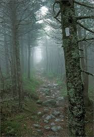 Ví dụ như một số người tuyên bố nhìn thấy những luồng ánh sạng lạ bí ẩn trên bầu trời khu vực "tam giác quỷ" Bennington.