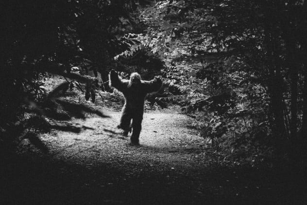 Sinh vật bí ẩn trên được báo cáo đột ngột xuất hiện khiến nạn nhân hoảng sợ. May mắn là con vật bí ẩn không tấn công họ.